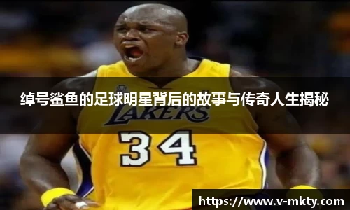 mk体育官方网站