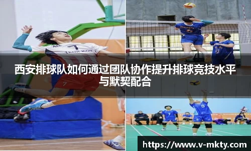 mk体育官方网站